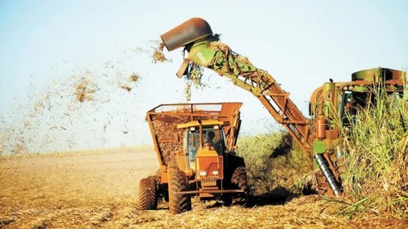 La zafra tucumana transita el final de la molienda