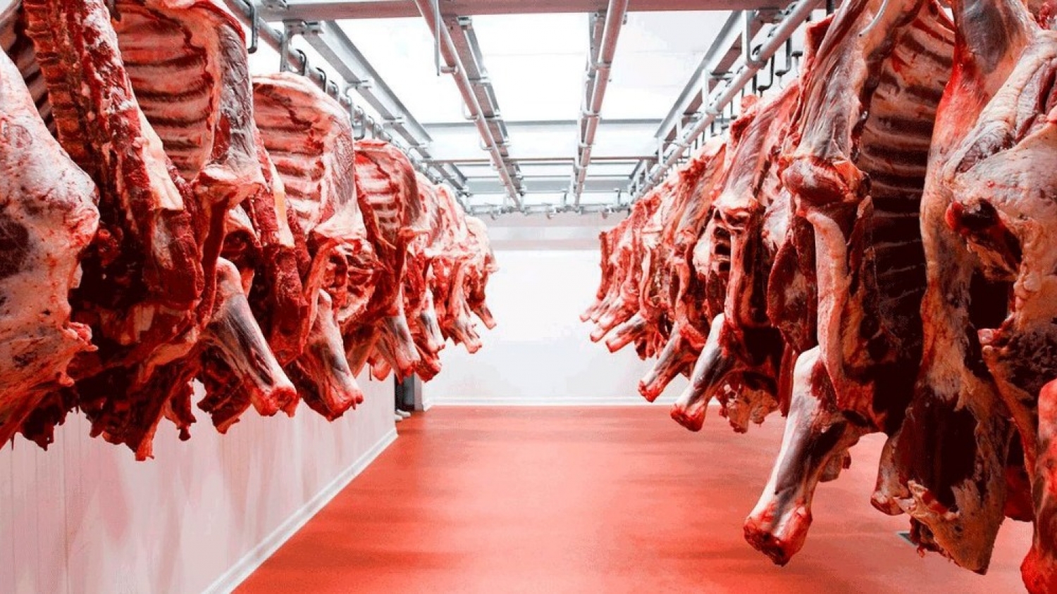 Se definió el reparto de la Cuota Hilton y aseguró la exportación de más de 29.300 toneladas de carne premium