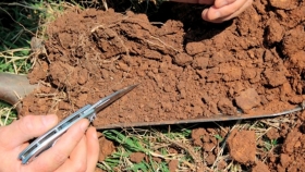 Fertilización: bajo índice de muestreo de suelos