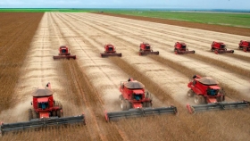 Imparable: Brasil estima una producción de soja y maíz superior a 250 millones de toneladas
