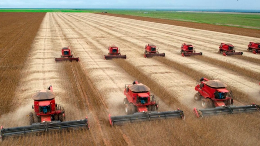 Imparable: Brasil estima una producción de soja y maíz superior a 250 millones de toneladas