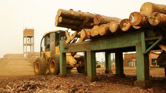 La foresto industria se consolida en Formosa con un nuevo convenio