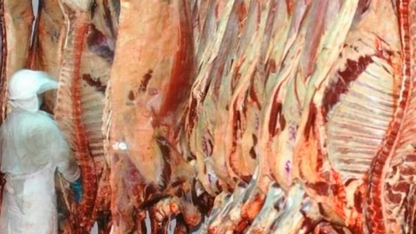 La faena de ganado bovino en santa fe tuvo una baja interanual del 10 %