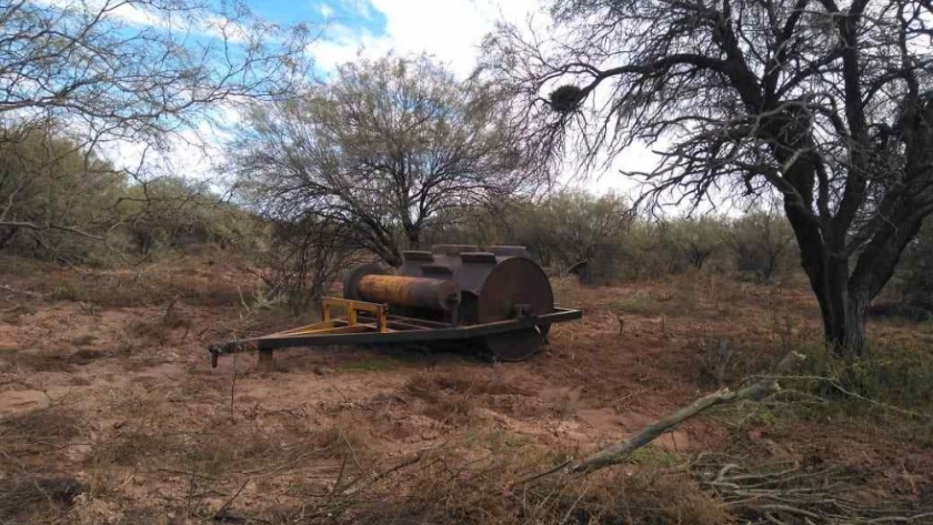 Desmonte en Salta: la denuncia de Greenpeace que pone foco sobre 26 mil hectáreas