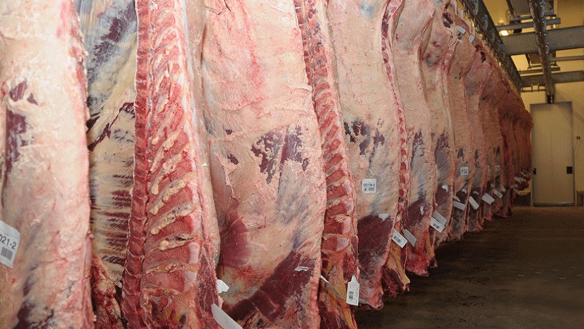 El gobierno asigna 20.000 toneladas de carne vacuna para exportación a Estados Unidos