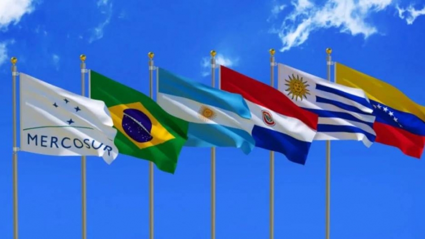 Mercosur: la postura del gobierno argentino frente a la académica
