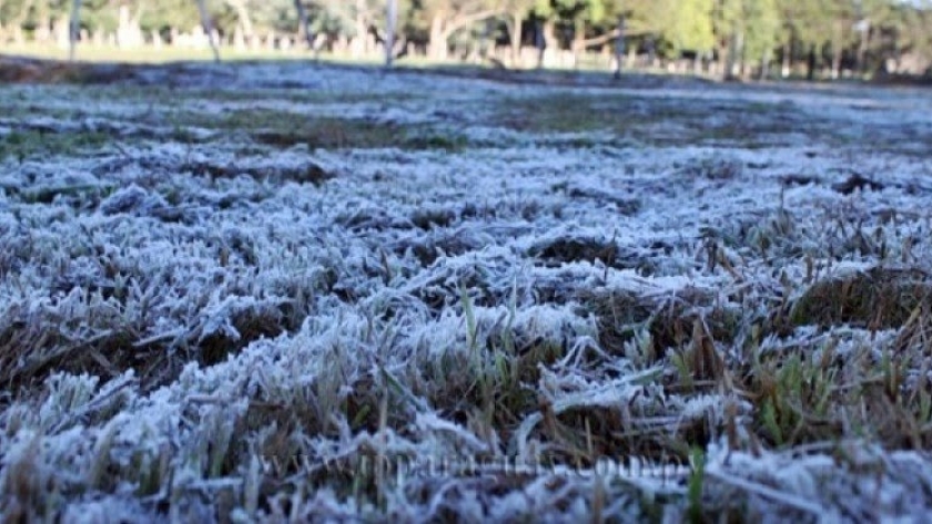 Invierno agrícola: desafíos y pronósticos para la temporada