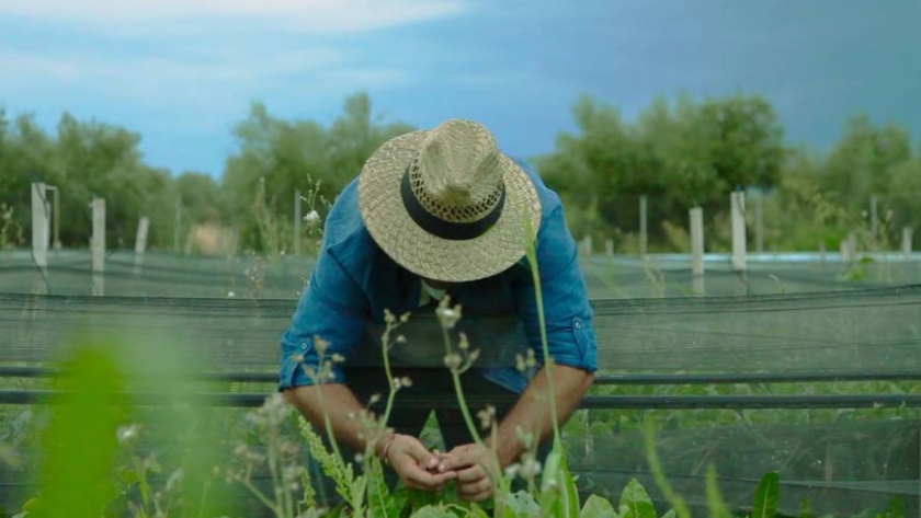 El campo francés impulsa la agricultura ecológica de la mano de la UE