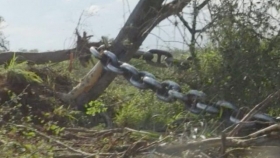 Avanza el veto a la importación de productos de áreas deforestadas