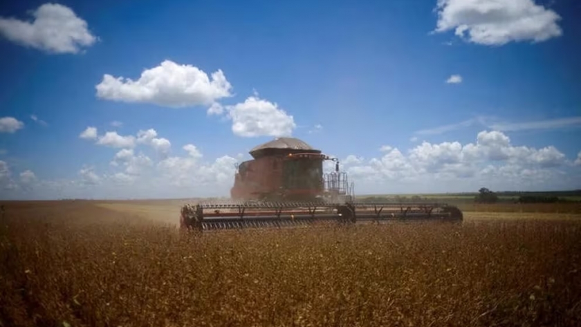Sorpresa en el campo: por qué el Gobierno cerró el registro de exportación de granos y cómo impactará la medida