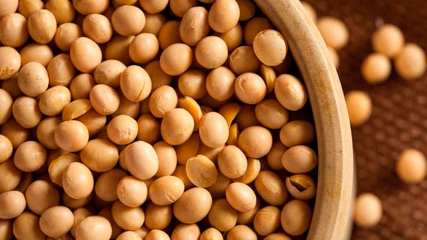 Leve suba para la soja en el mercado local