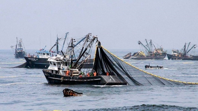 Argentina pierde US$ 14.000 millones por año por la pesca ilegal