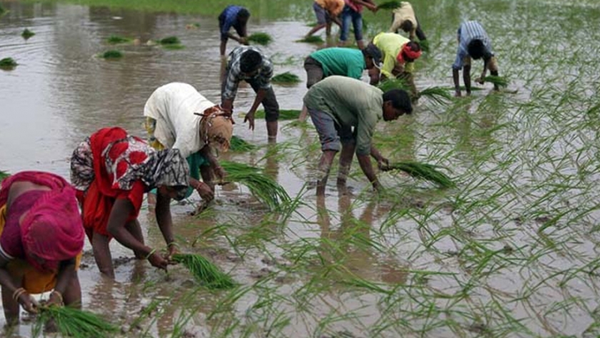 Cómo las reformas agrícolas pueden transformar la India en una potencia agrícola para 2030