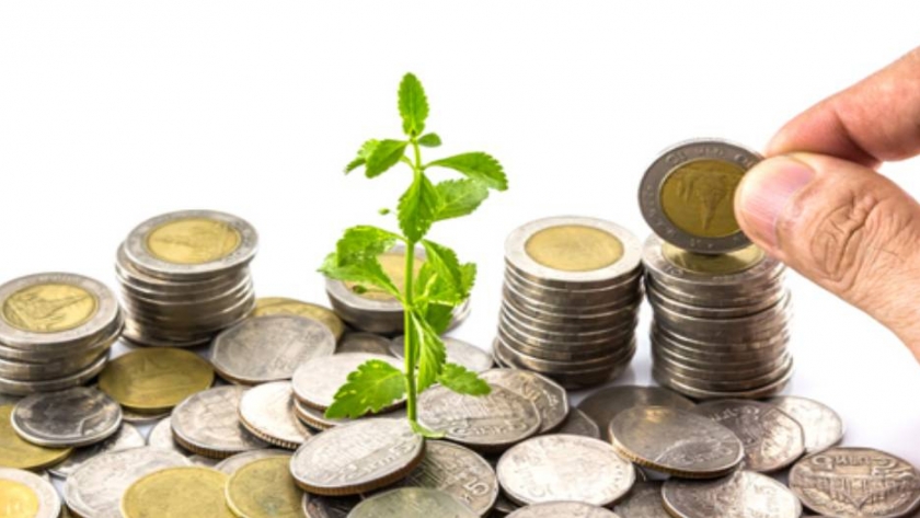 La planificación fiscal en el negocio agrario