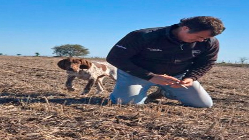 Quién es el productor que sembró camelina por primera vez en Entre Ríos y por qué recomienda apostar al cultivo