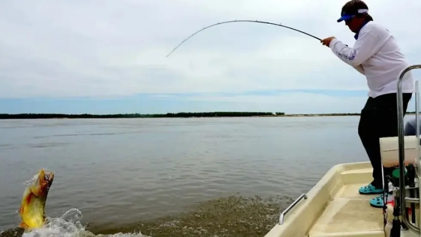 Cayó la pesca
