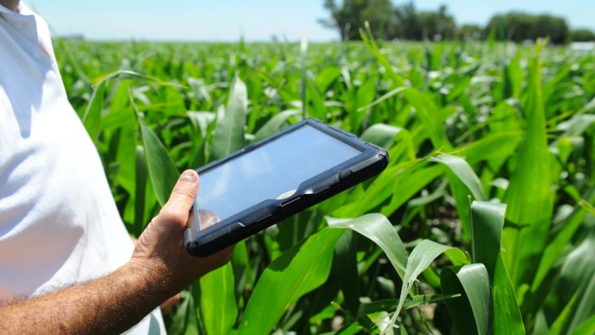Transformando la agricultura con tecnología: la revolución del monitoreo de cultivos