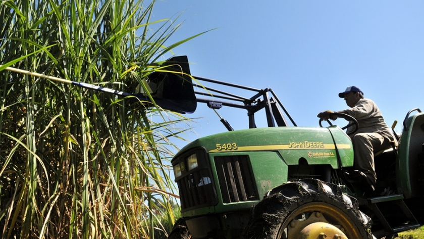 Tucumán: La zafra de caña de azúcar podría superar los 14 millones de toneladas