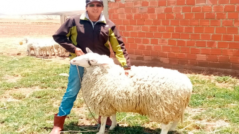 La raza Pampinta llegó a Bolivia de la mano de Granja Alhaurin