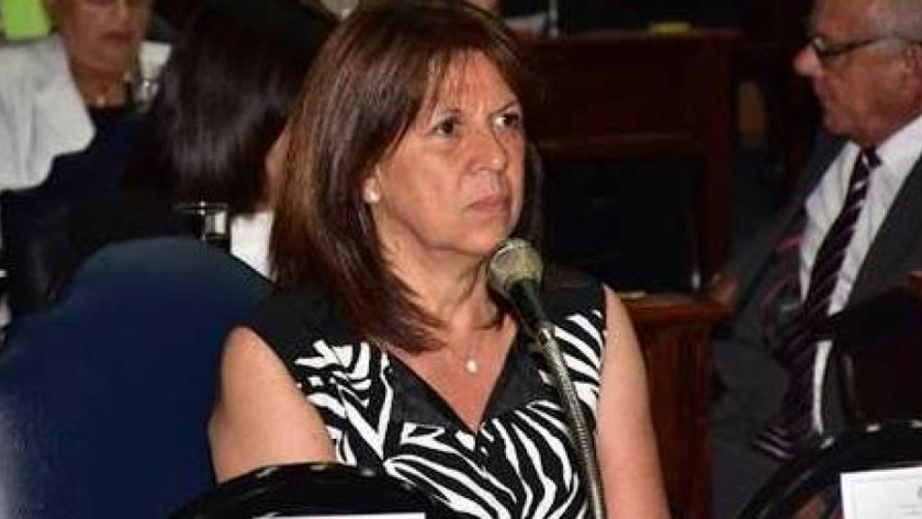 Brítez: "No hay otro gobernador como Gildo Insfrán y eso nos llena de orgullo"