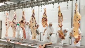 El Senasa avanza con el ordenamiento de la cadena de la carne bovina