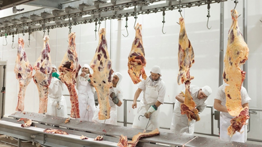El Senasa avanza con el ordenamiento de la cadena de la carne bovina
