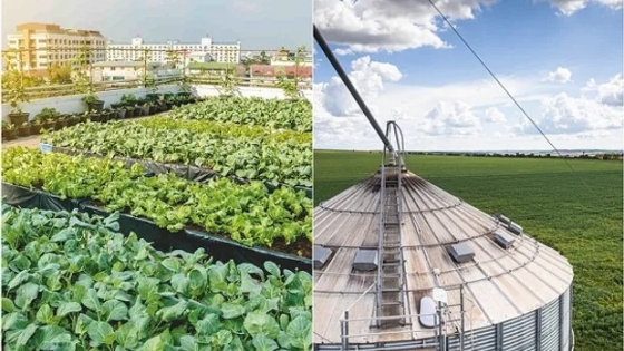 Estudio inédito sobre huertas urbanas vs. agricultura tradicional: qué actividad tiene mayor huella de carbono