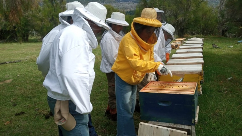 Ambiente, Parques Nacionales y Chubut trabajan para la protección y el desarrollo sostenible del Parque Nacional Los Alerces