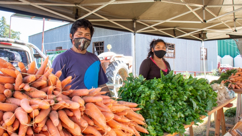 Más de 400 vecinos participaron de la venta presencial de verduras, frutas y productos envasados de Sol Puntano