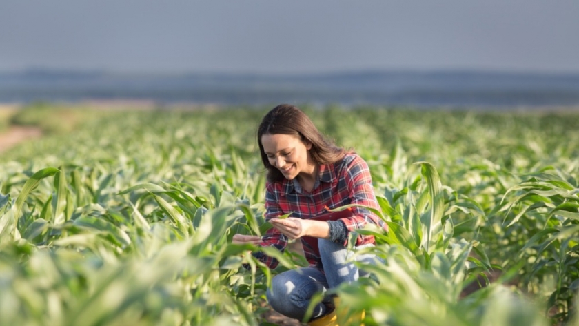 Mujeres en el agro: un desafío histórico en materia de género
