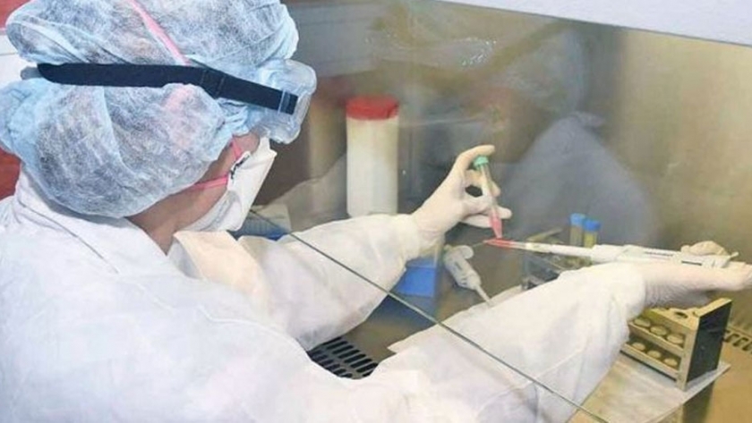 Se presentaron 710 propuestas de investigación, desarrollo e innovación para afrontar la pandemia 