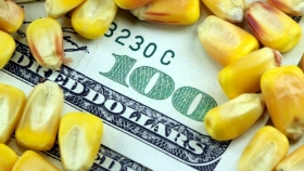 La estrella exportadora: ingreso de divisas récord gracias al maíz
