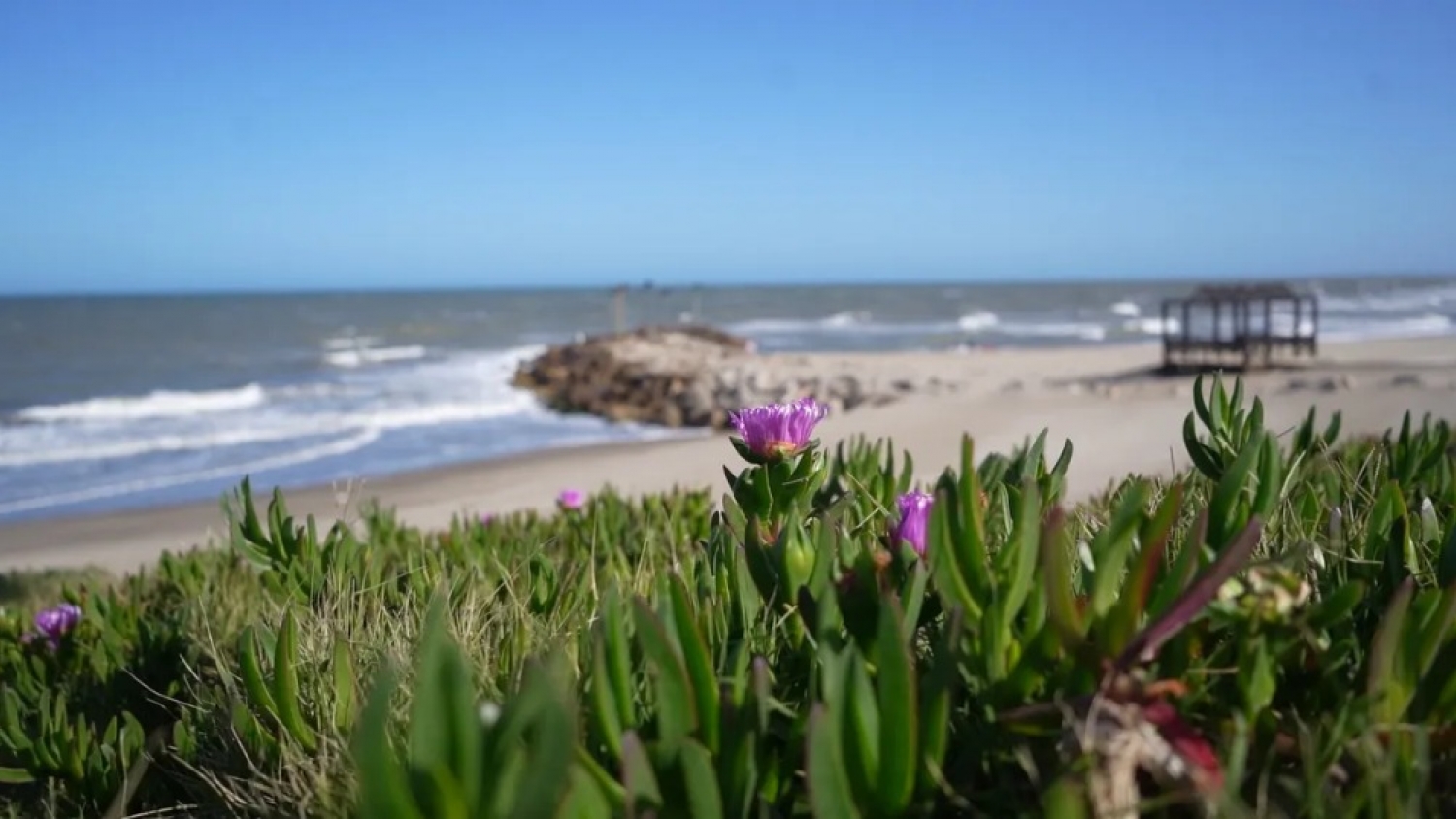 Mar Chiquita, el refugio natural de la Costa Atlántica que apuesta al ecoturismo y la biodiversidad