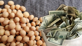 Disminuyó el ingreso de divisas por parte del agro