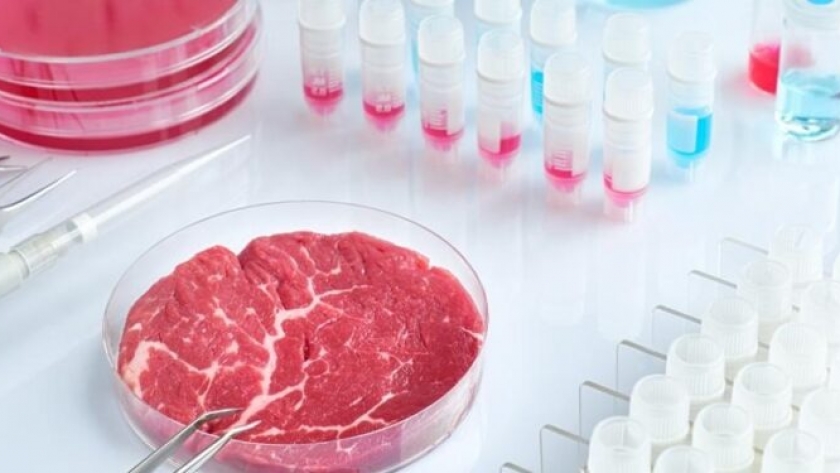 Una empresa israelí llegó a Brasil para producir cortes de carne cultivada