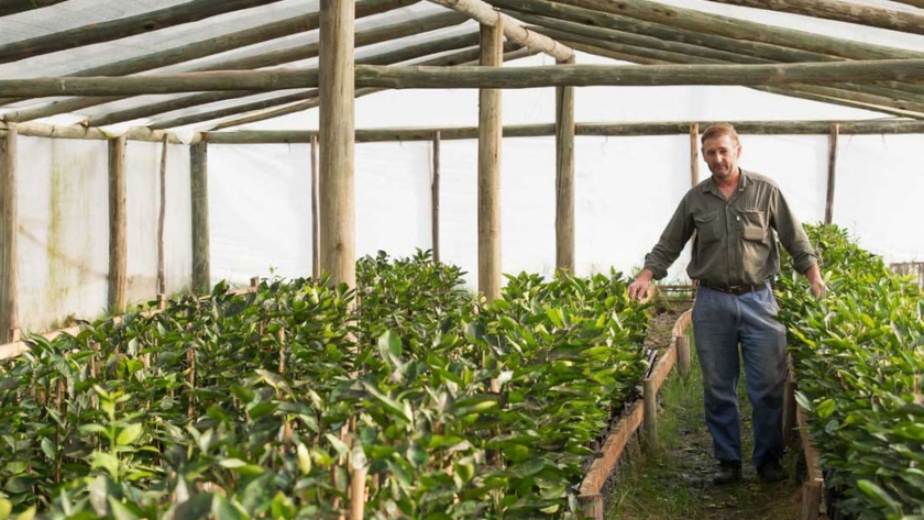 La Provincia y el INTI coordinarán acciones para fortalecer la producción regional