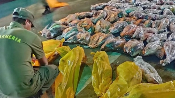 Decomisan y destruyen en Chaco más de 27 toneladas de pescado con documentación adulterada