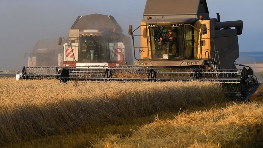 Cómo Rusia se convirtió en el principal exportador de trigo del mundo