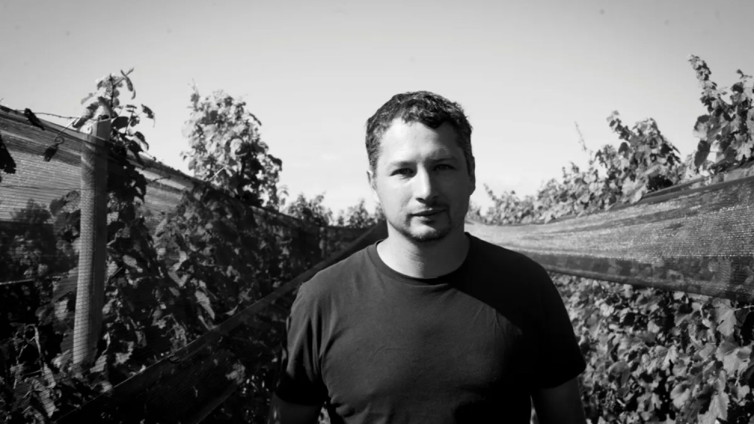 De director de viñedos a crear una bodega innovadora: el reconocimiento de Tim Atkin