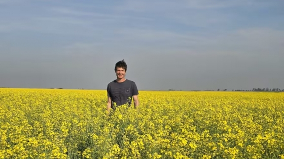 El boom de la carinata: el cultivo entrerriano que impulsa el combustible del futuro