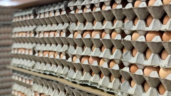 Estas son las 10 mayores empresas de huevo en Latinoamérica
