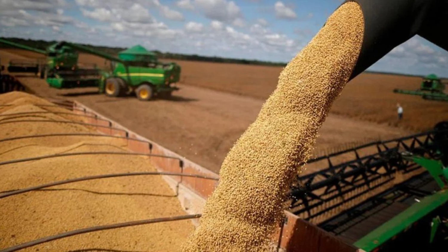 La cosecha de soja alcanza su mayor nivel en siete años y fortalece las perspectivas exportadoras