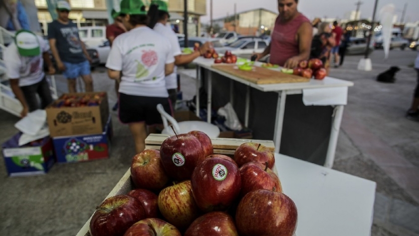 Producción y Agroindustria trabaja junto a la Universidad Nacional de Río Negro