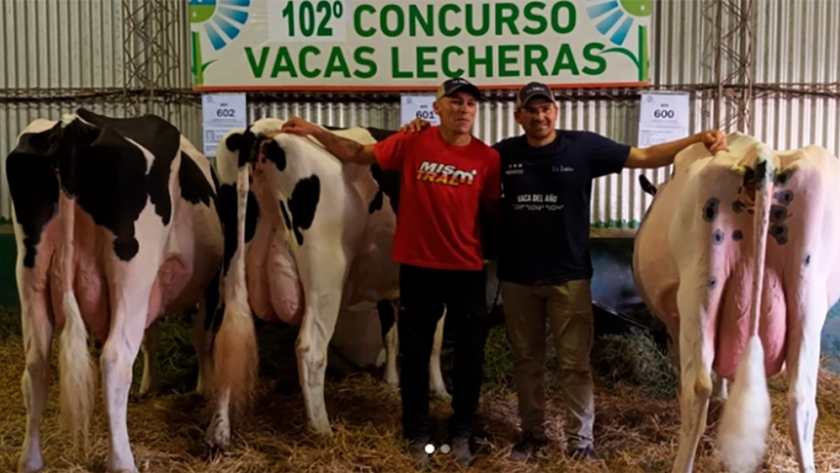 Ganó el concurso de vacas lecheras 2023 al producir más de 136 litros en dos días