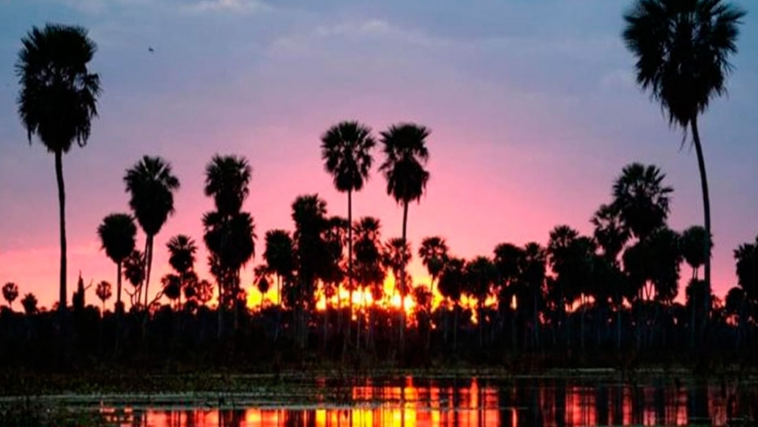 Formosa ingresó al mapa global como destino de turismo de naturaleza con el Bañado La Estrella 