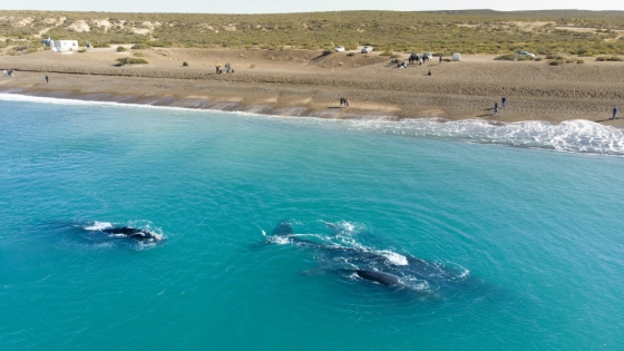 Las Canteras: la playa patagónica que deslumbra entre las mejores de Sudamérica