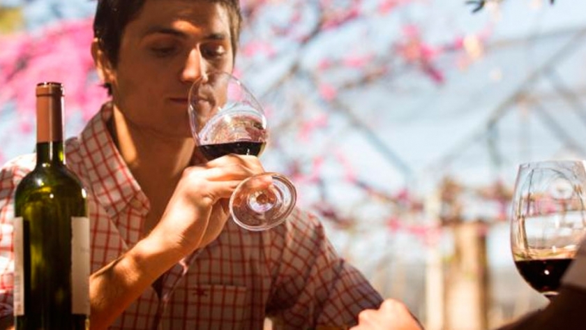 De la V a la O, las 10 cosas esenciales para saber del vino argentino