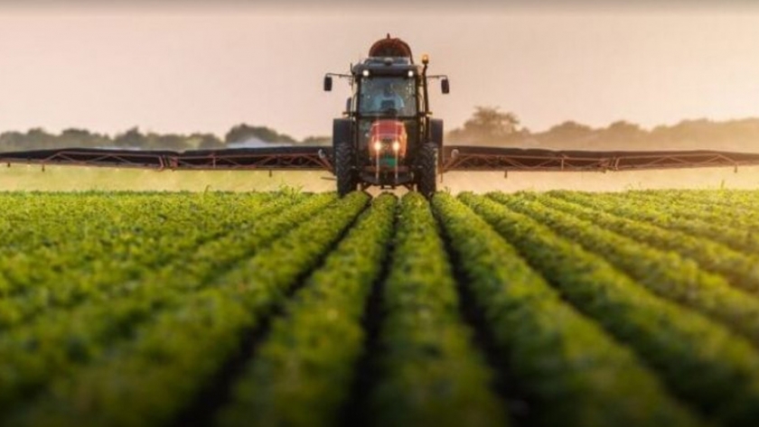 Agricultura informó que ya se emitieron warrants electrónicos por más de 600 millones de pesos y 100 millones de dólares