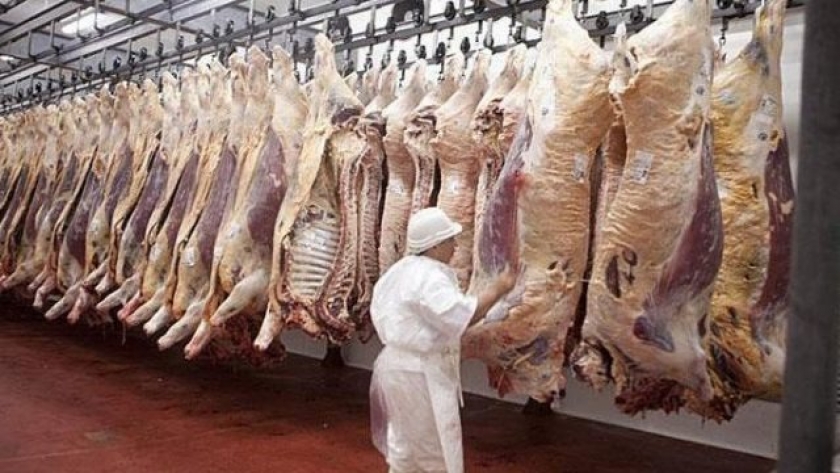 La faena de vacas supera los niveles esperados