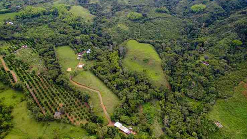 Variedad de cultivos protege biodiversidad de fincas